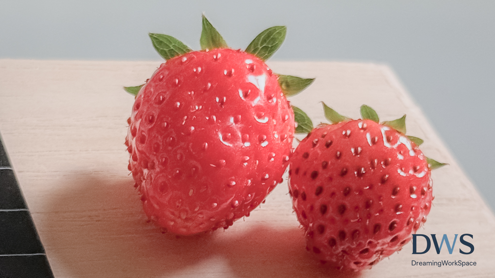 thinklog-strawberry-in-summer